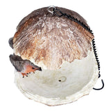 ABZ Brand Garden Farm Colorful Fruits Hanging Wild Bird Feeder