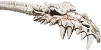 Dragon Skull Hand Back Scratcher Resin Skeleton Back Bone