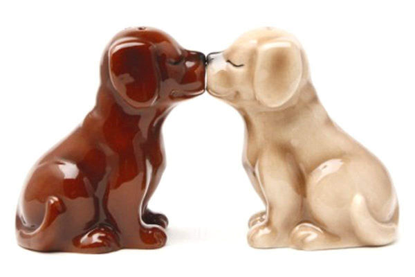 Blonde and Chocolate Labrador Pups Ceramic Magnetic Salt & Pepper Shakers