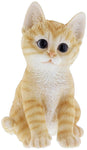 Border Concepts Nature's Gallery Pet Pals (Orange Kitten)