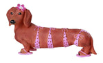 Pacific Giftware Adorable Bikini Beauty Doxy Collectible Wiener Dog Dachshund Figurine