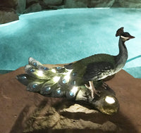 Regal Peacock's Perch LED Lighted Decorative Indoor Outdoor Statue 12 Inch L