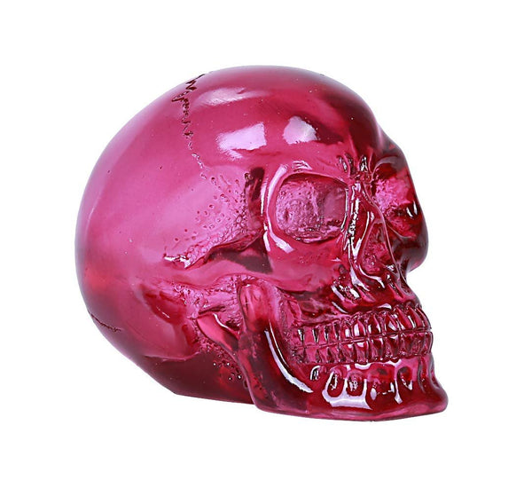 ABZ Brand Clear Translucent Purple Skull Collectible Halloween Skeleton Human