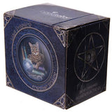 4" Fortune Teller Cat New Bone China Porcelain Coffee Drink Mug
