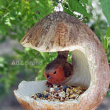 ABZ Brand Garden Farm Colorful Fruits Hanging Wild Bird Feeder