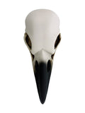 YTC White and Black Raven Bird Skeleton Skull Halloween Décor Statue