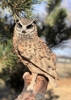 Amazing Animal Collection Bubo bubo Eurasian Eagle Owl stand on Wood 14.5 inches Figurine Statue