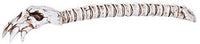 Pacific Giftware Skeleton Bone Back Scratcher Home Decor Resin