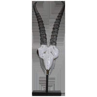 PACIFIC GIFTWARE Polystone Springbok Skull with Antler Horns on Metal Stand Home Decorative Accent Faux Taxidermy Animal Trophy 29.5 in