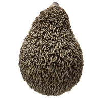 PACIFIC GIFTWARE Realistic Adorable Hedgehog Pet Resin Figurine Statue
