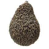 PACIFIC GIFTWARE Realistic Adorable Hedgehog Pet Resin Figurine Statue