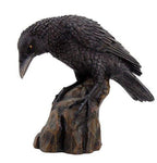 PACIFIC GIFTWARE Raven Skull Statue Cold Cast Resin Figurine