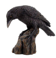 PACIFIC GIFTWARE Raven Skull Statue Cold Cast Resin Figurine
