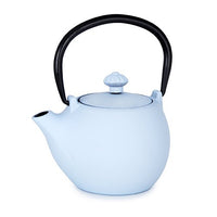JAPAN COLLECTION Sky Blue Cast Iron Round Teapot With Lid and Stainless Steel Infuser
