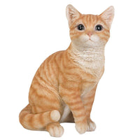 PACIFIC GIFTWARE Realistic Looking Orange Tabby Cat Kitten Collectible Figurine Amazing Detail Glass Eyes Hand Painted Resin 12 inch Figurine Perfect for Cat Lover Collectible