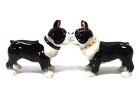 PACIFIC GIFTWARE Boston Terrier Pups Ceramic Magnetic Salt and Pepper Shaker Set