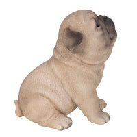 PACIFIC GIFTWARE Pug Puppy Resin Figurine