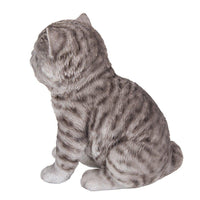 PACIFIC GIFTWARE Realistic and Cute Grey Tabby Kitten Collectible Figurine Amazing Detail Glass Eyes Hand Painted Resin Life Size 8 inch Figurine Perfect for Cat Lover Collectible