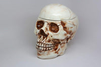 PACIFIC GIFTWARE 8 Inch Skeleton Skull Shaped Ceramic Cookie Jar Statue Figurine