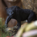 PACIFIC GIFTWARE Realistic Big Cat Black Panther Wildlife Leopard Cougar Decorative Resin figurine Statue