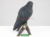 SUMMIT COLLECTION Raven Collectible Figurine Statue Sculpture Figure Crow Bird Model