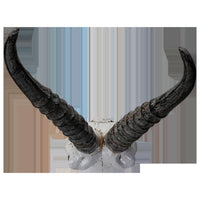 PACIFIC GIFTWARE Polystone Springbok Skull with Antler Horns on Metal Stand Home Decorative Accent Faux Taxidermy Animal Trophy 29.5 in