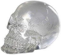 PACIFIC GIFTWARE 12 pcs Clear Crystal Like Mini Skulls Figurines Busts