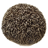 PACIFIC GIFTWARE Realistic Adorable Hedgehog Pet Resin Figurine Statue