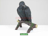 SUMMIT COLLECTION Raven Collectible Figurine Statue Sculpture Figure Crow Bird Model