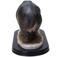 PACIFIC GIFTWARE Realistic African Hippopotamus Hippo Resin Figurine Statue