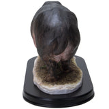 PACIFIC GIFTWARE Realistic African Hippopotamus Hippo Resin Figurine Statue