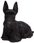 PACIFIC GIFTWARE Realistic Large Size Statue Black Scottish Highlands Terrier Dog Long Hair Look Decorative Resin Figurine
