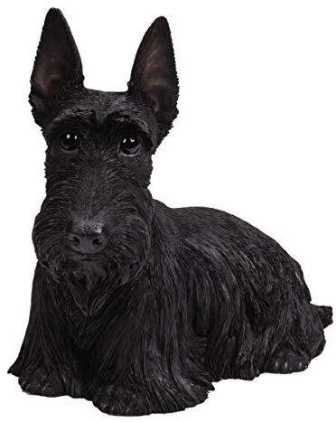 PACIFIC GIFTWARE Realistic Large Size Statue Black Scottish Highlands Terrier Dog Long Hair Look Decorative Resin Figurine