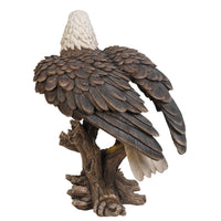 17.5" Large American Bald Sea White-tailed Eagle stand on Wood Figurine Statue